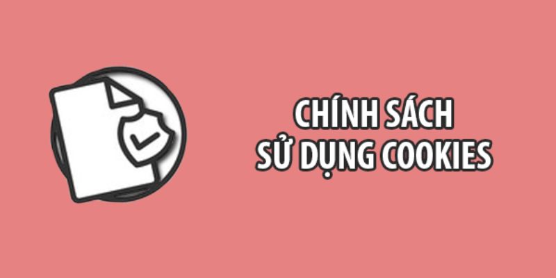 Thông tin liên quan đến chính sách cookie K8 