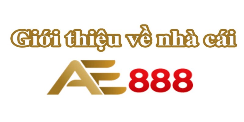 Tìm hiểu chung về sân chơi cá cược AE888